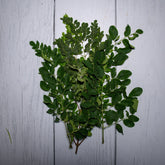 Moringa Leaves - 1- 100 % Natural & Farm Fresh Herbs